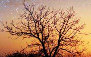 讲真，我被这一幕整懵了：你以为是运气，爱游戏APP｜爱游戏官方网站的那张让球变化看着像在“诱导”其实在讲另一件事…