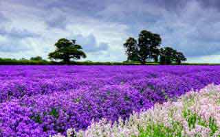 爱游戏官网｜爱游戏APP这次数据更新，和那条风险提示忽然断了一截撞在一起，太巧了…