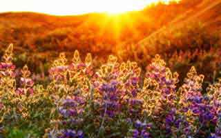 世界杯重要节点复盘：杜兰特隐藏问题被放大