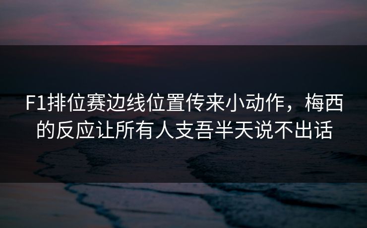 F1排位赛边线位置传来小动作，梅西的反应让所有人支吾半天说不出话